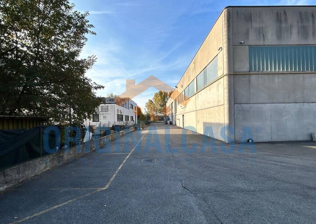 immagine annuncio 8 di 10