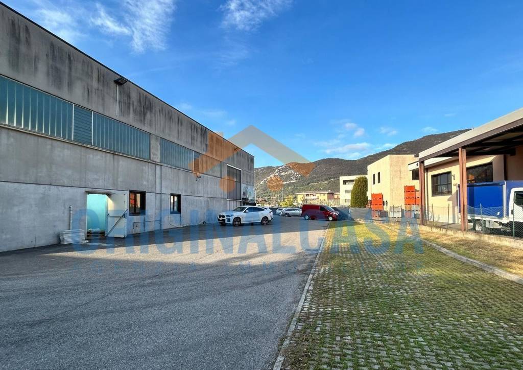 immagine annuncio 9 di 10