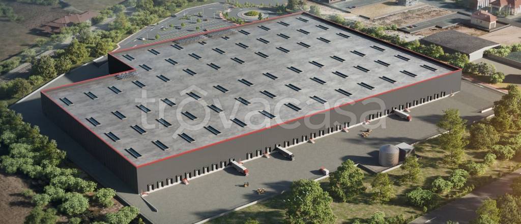 immagine annuncio 3 di 11