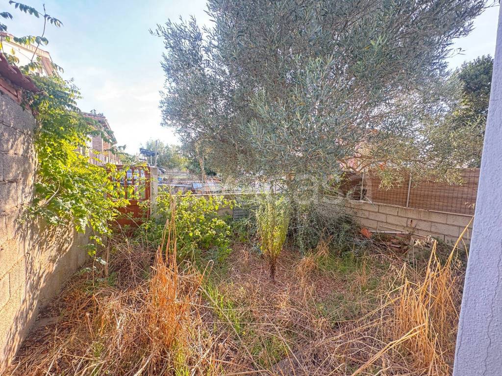 immagine annuncio 7 di 8