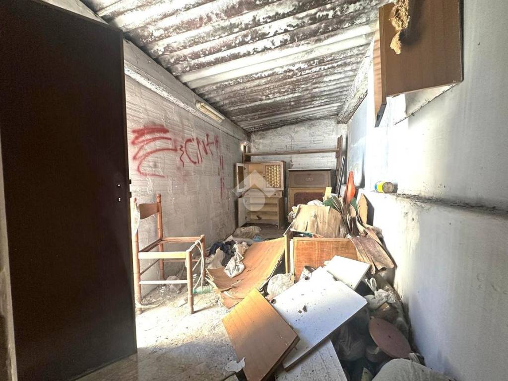 immagine annuncio 6 di 14