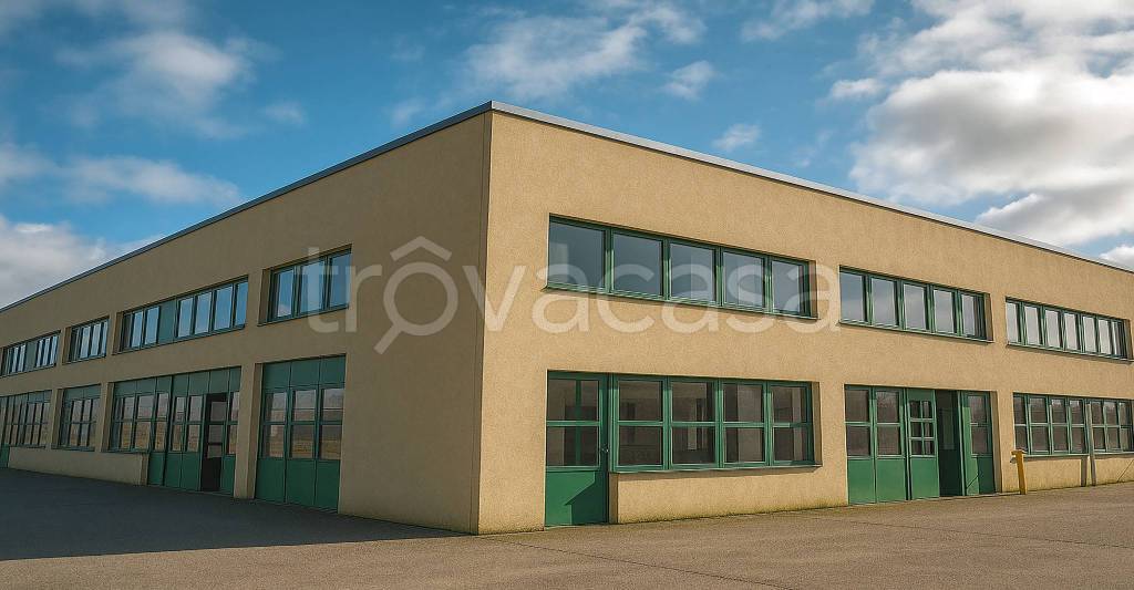 immagine annuncio 2 di 9