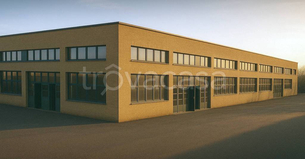 immagine annuncio 3 di 9