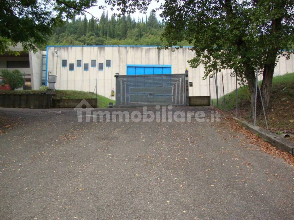 immagine annuncio 2 di 6