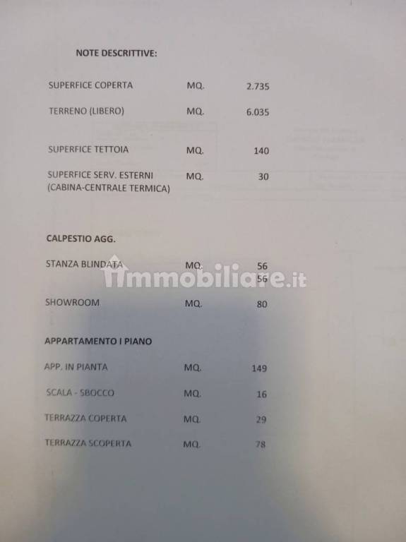 immagine annuncio 5 di 6