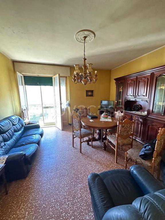 immagine annuncio 1 di 8