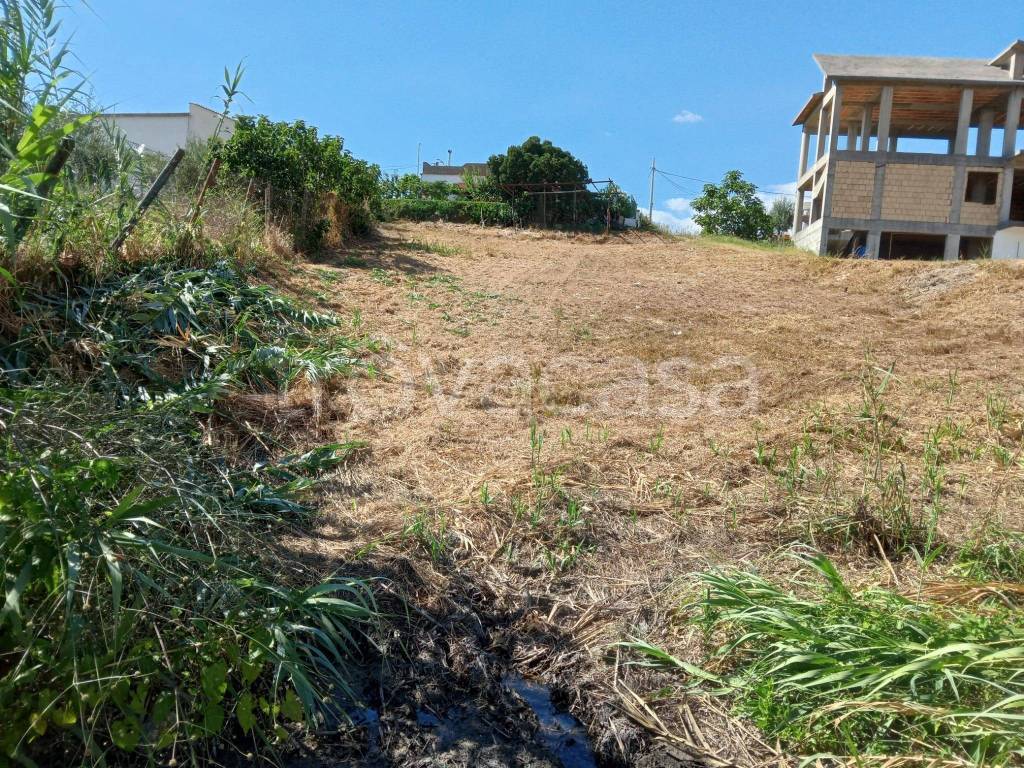 immagine annuncio 4 di 11