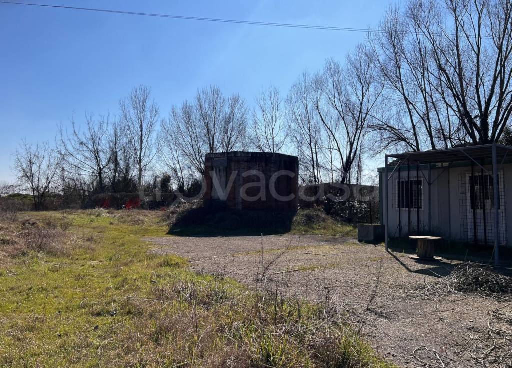 immagine annuncio 2 di 7