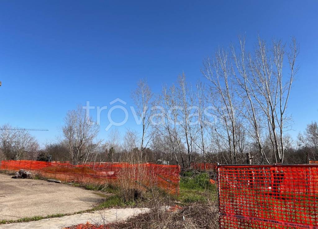 immagine annuncio 5 di 7