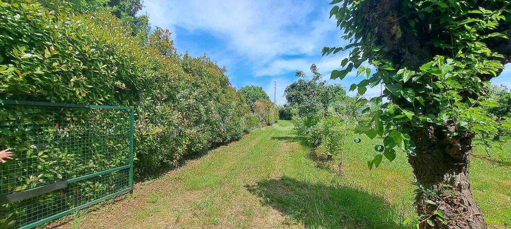 immagine annuncio 1 di 8