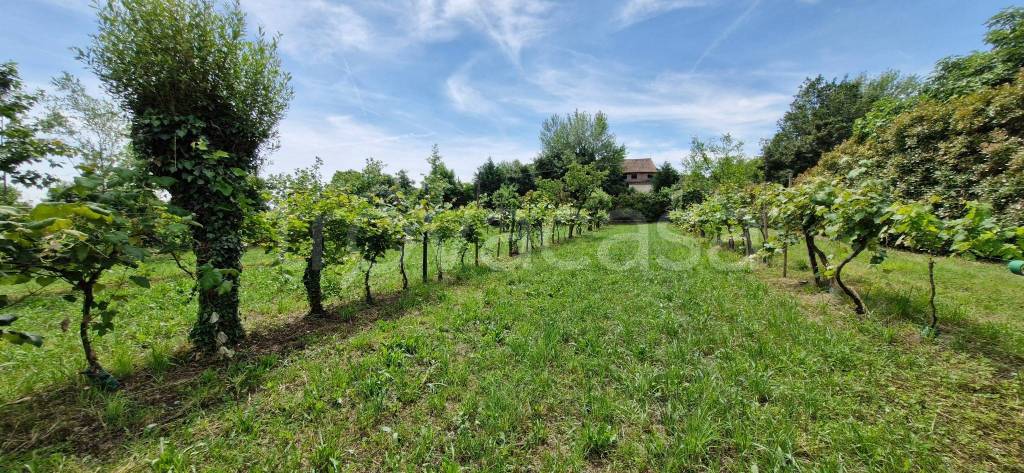 immagine annuncio 3 di 8