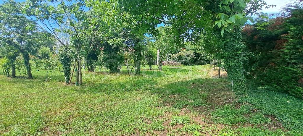 immagine annuncio 4 di 8