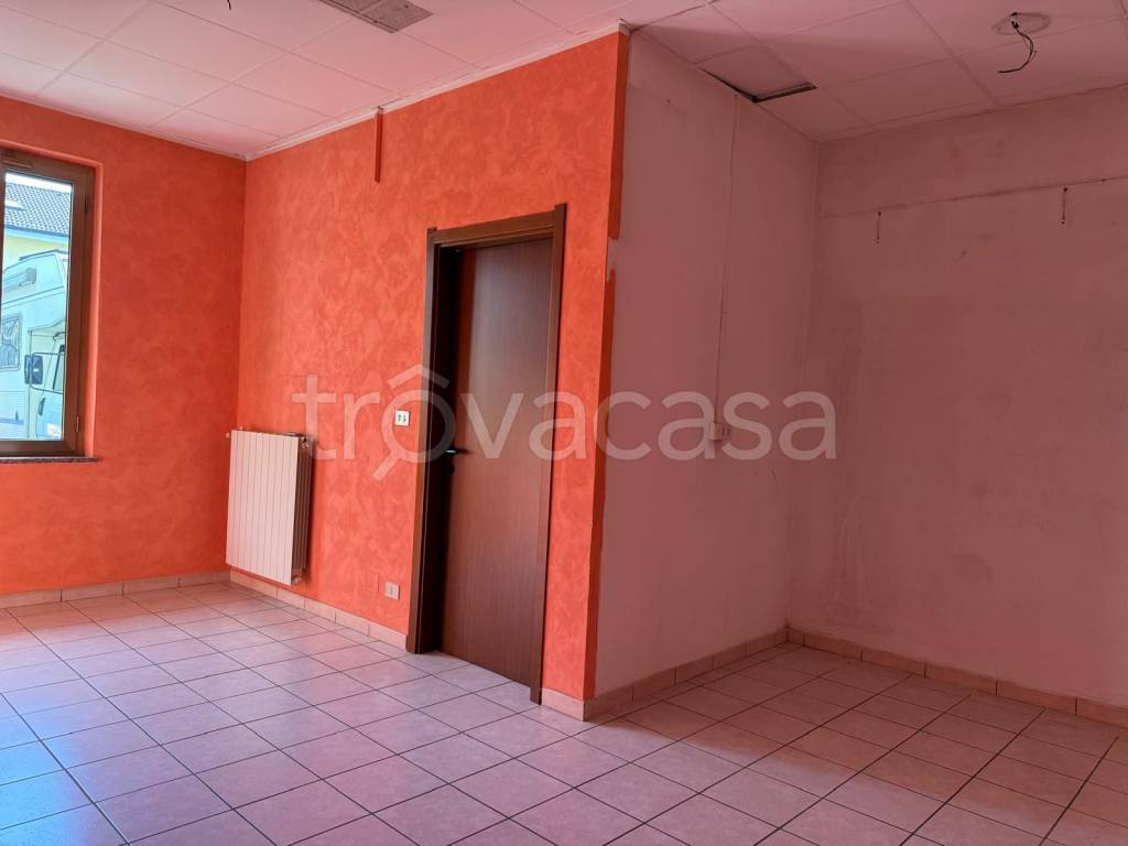 immagine annuncio 7 di 12