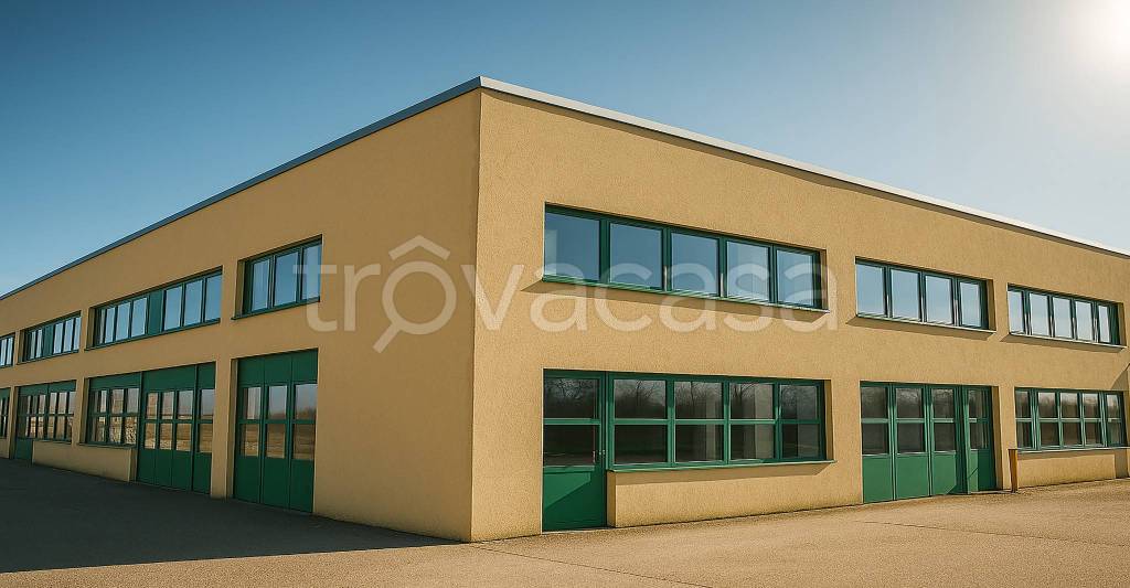 immagine annuncio 3 di 9