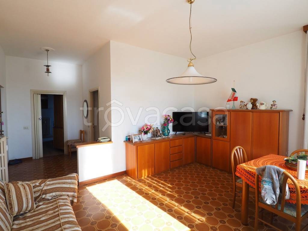 immagine annuncio 5 di 14