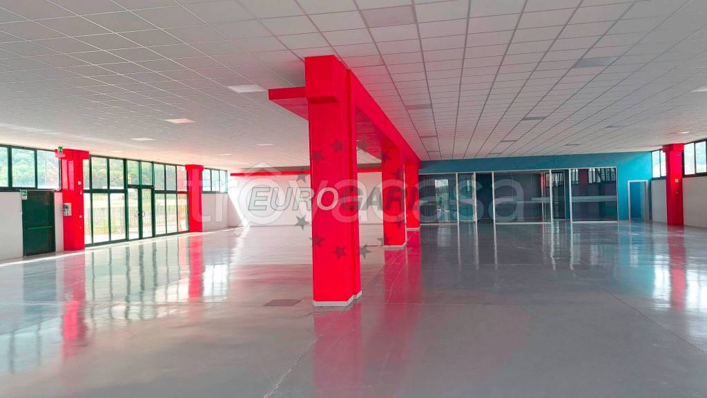 immagine annuncio 1 di 9