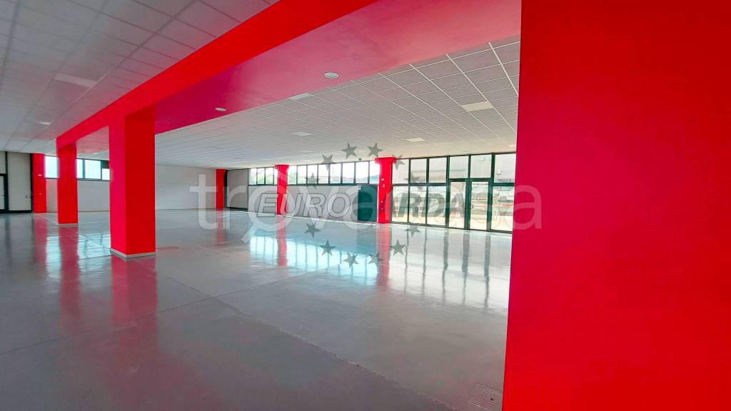 immagine annuncio 7 di 9