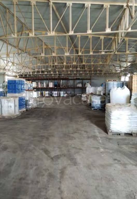 immagine annuncio 5 di 11