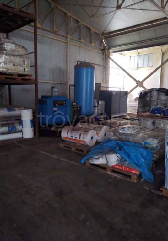 immagine annuncio 6 di 11