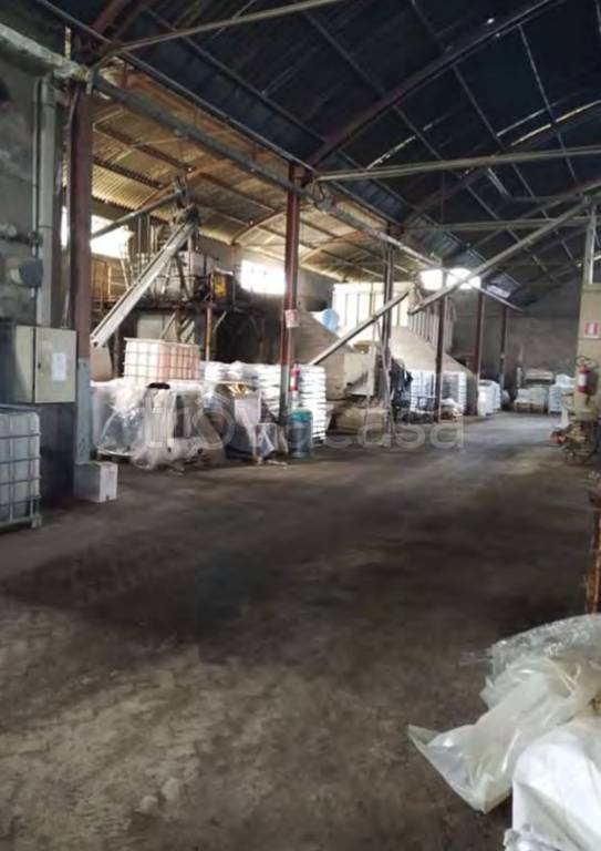 immagine annuncio 7 di 11