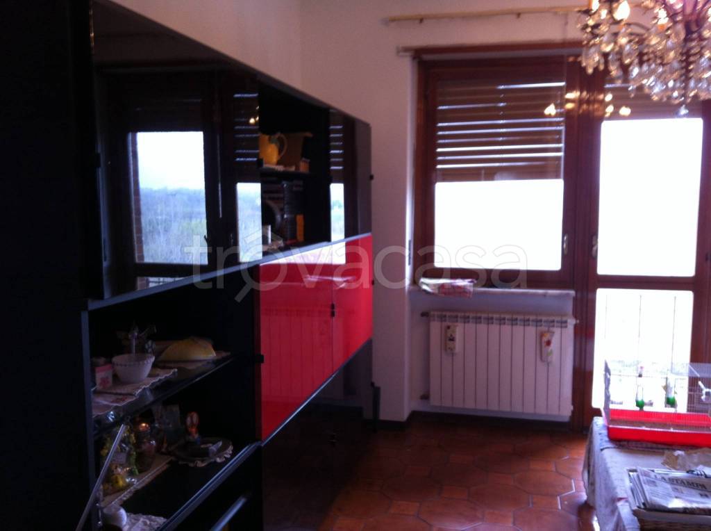 immagine annuncio 5 di 12