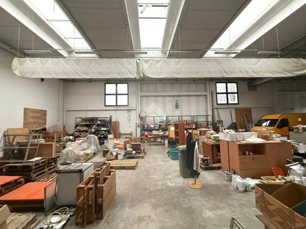 immagine annuncio 9 di 15