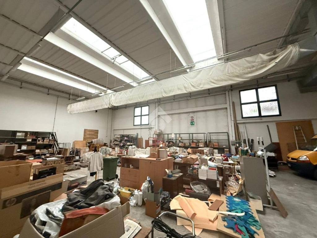 immagine annuncio 10 di 15