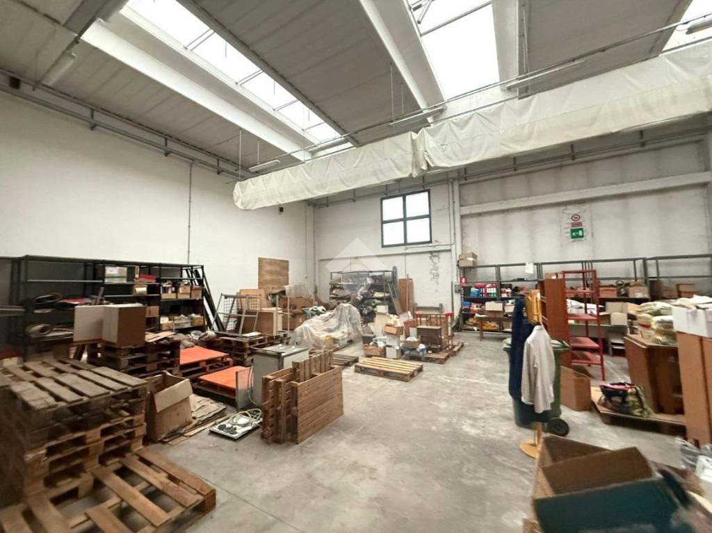 immagine annuncio 11 di 15