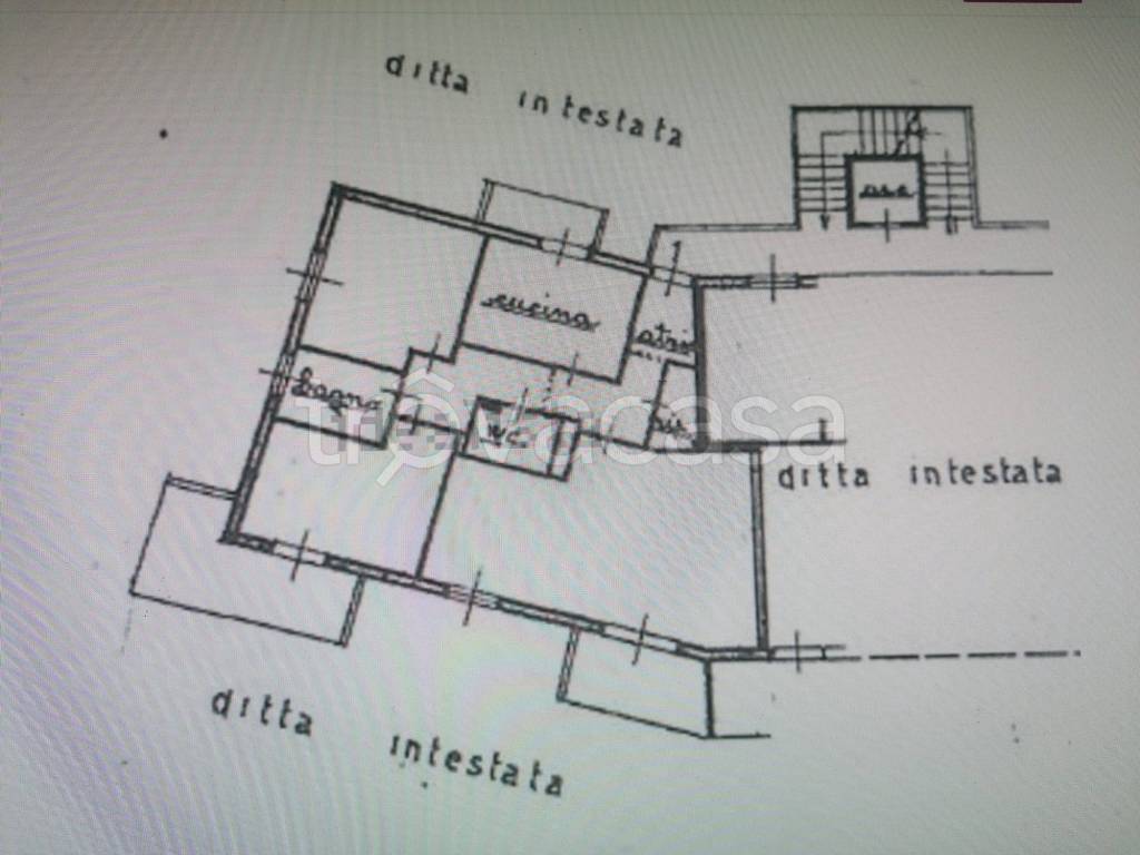 immagine annuncio 2 di 7