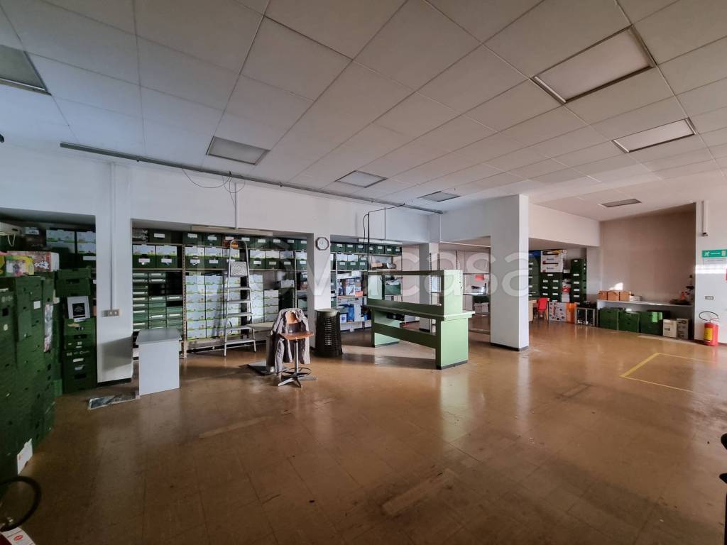 immagine annuncio 10 di 15