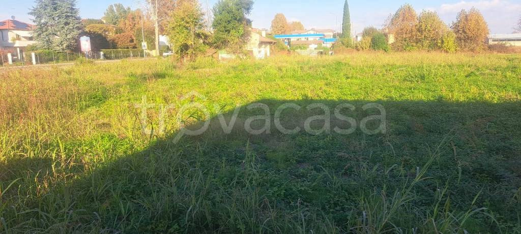 immagine annuncio 7 di 9