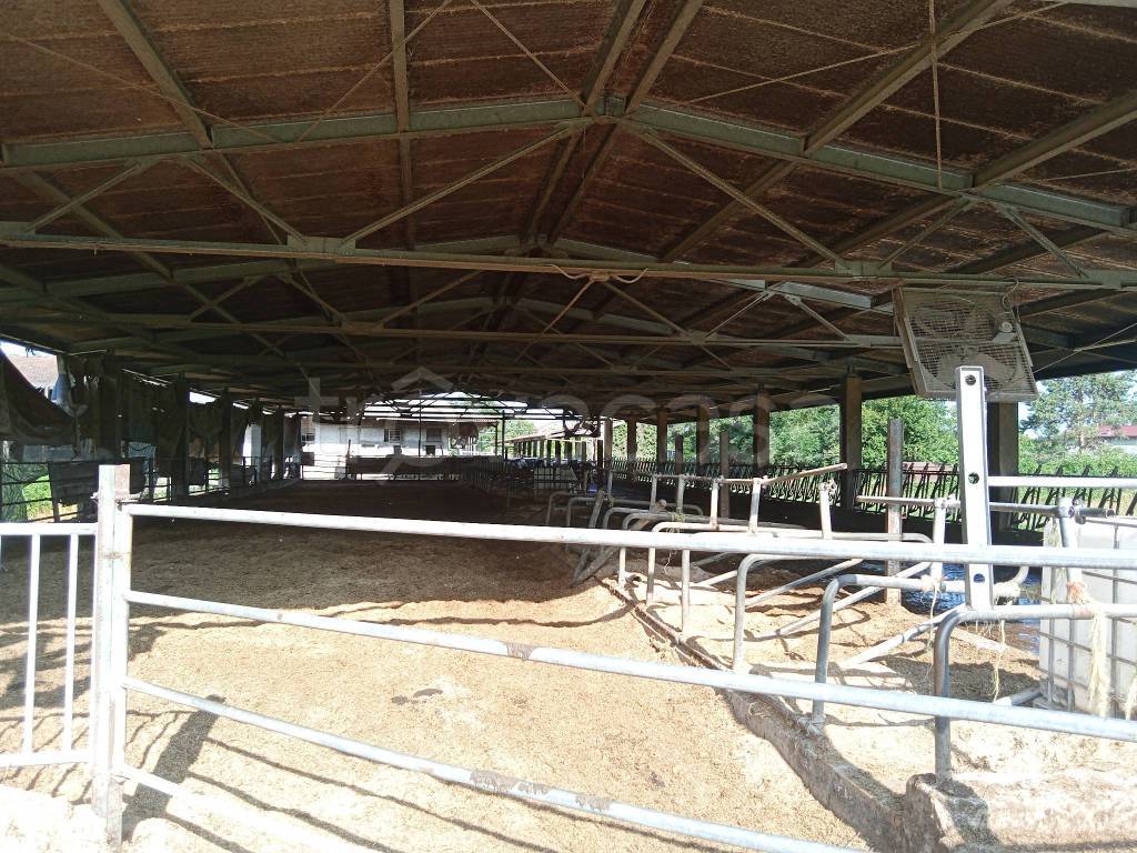 immagine annuncio 8 di 12