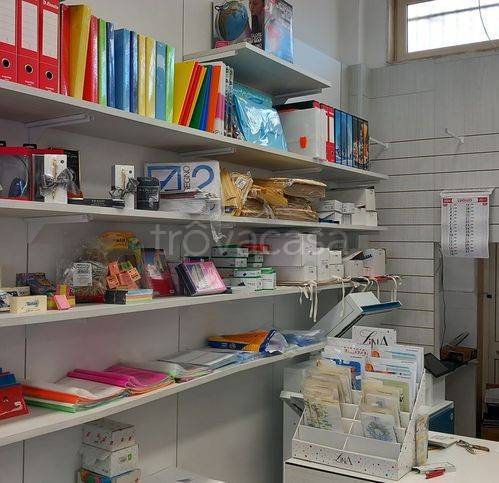 immagine annuncio 6 di 7