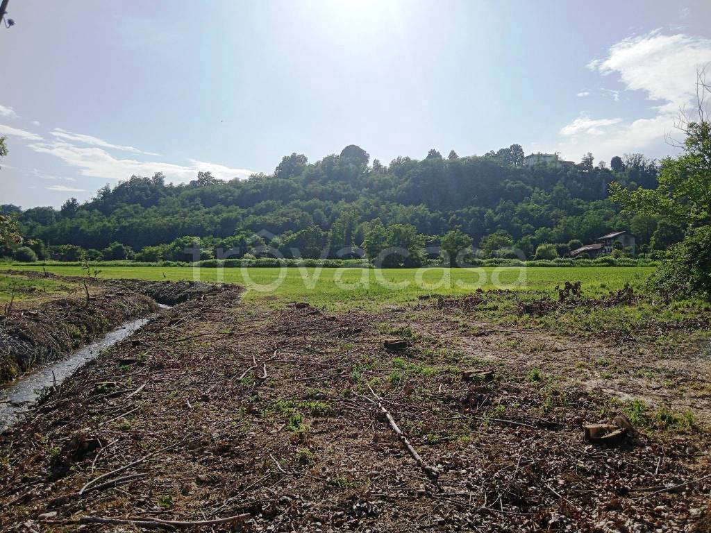 immagine annuncio 9 di 12