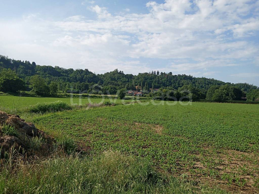 immagine annuncio 10 di 12