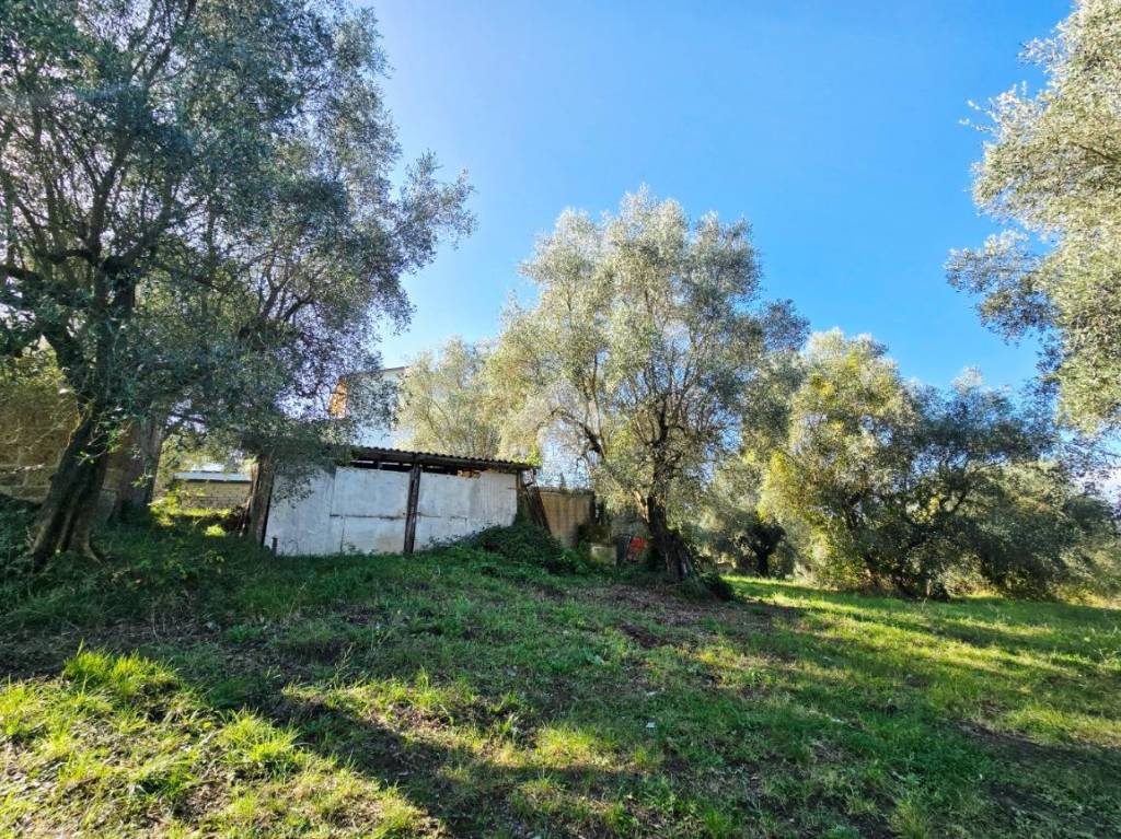 immagine annuncio 9 di 11