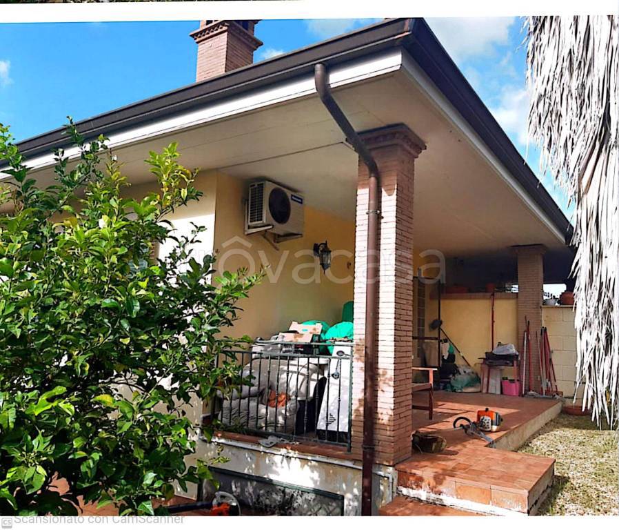 immagine annuncio 2 di 12