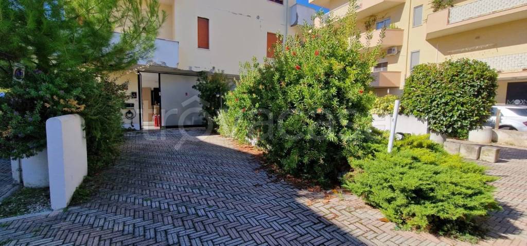 immagine annuncio 4 di 9