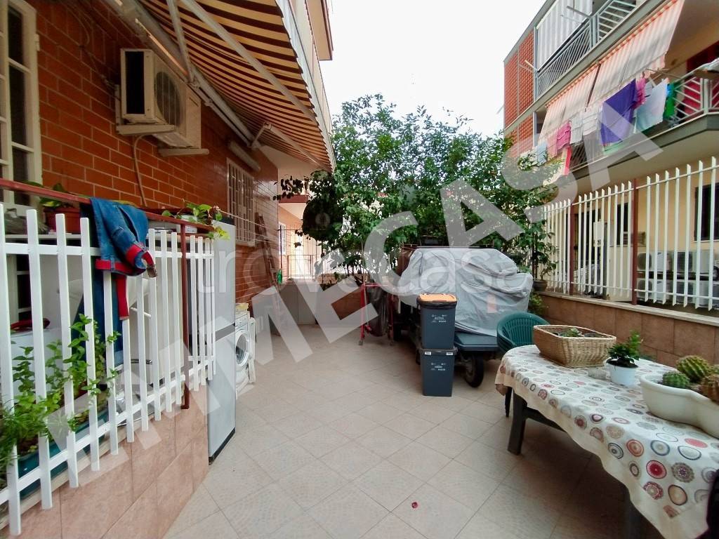 immagine annuncio 12 di 14