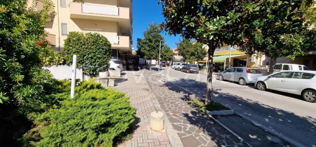 immagine annuncio 5 di 9