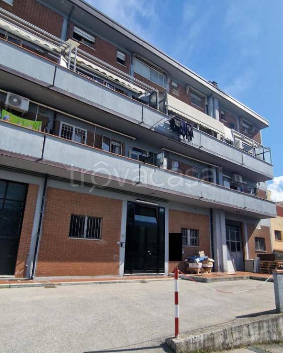 immagine annuncio 1 di 13