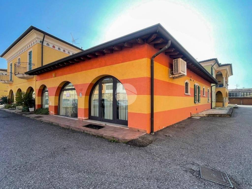 immagine annuncio 10 di 15