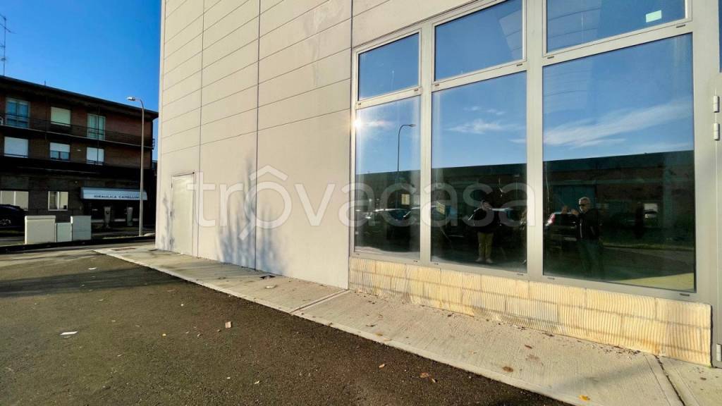 immagine annuncio 3 di 9