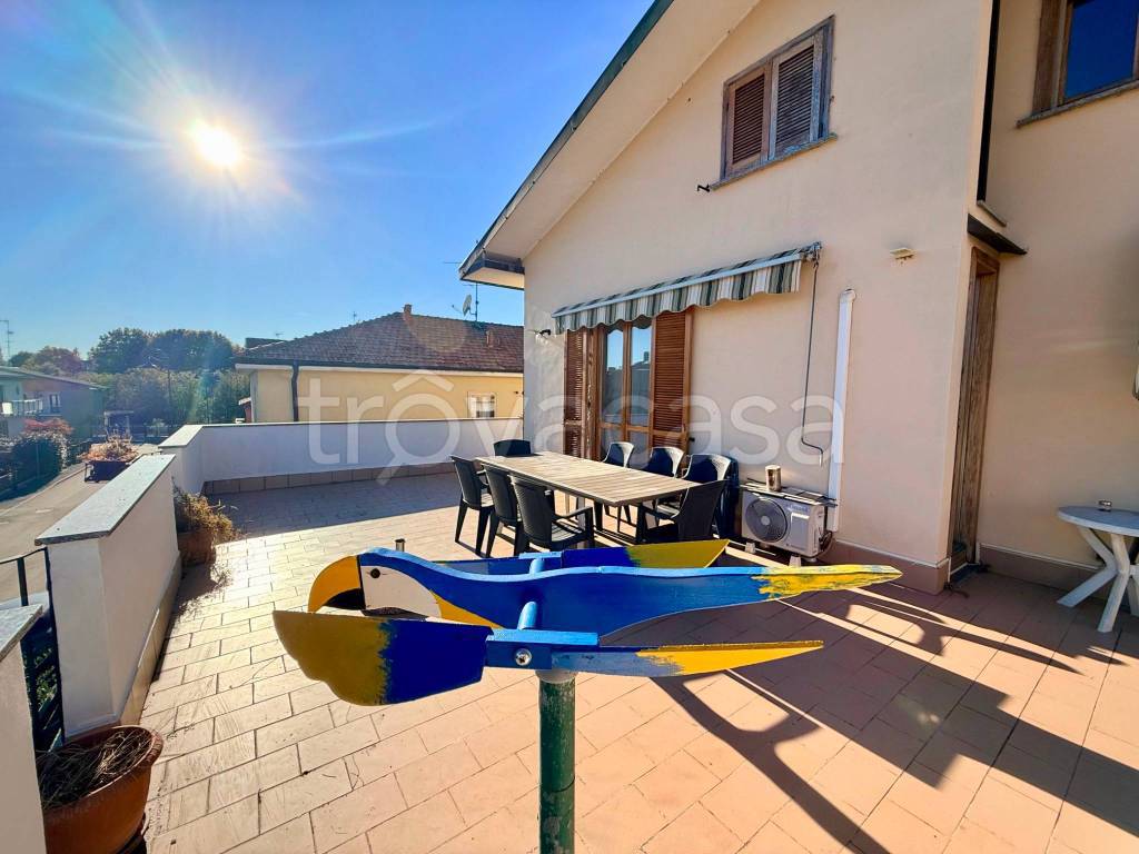 immagine annuncio 9 di 15