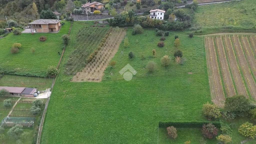 immagine annuncio 2 di 8