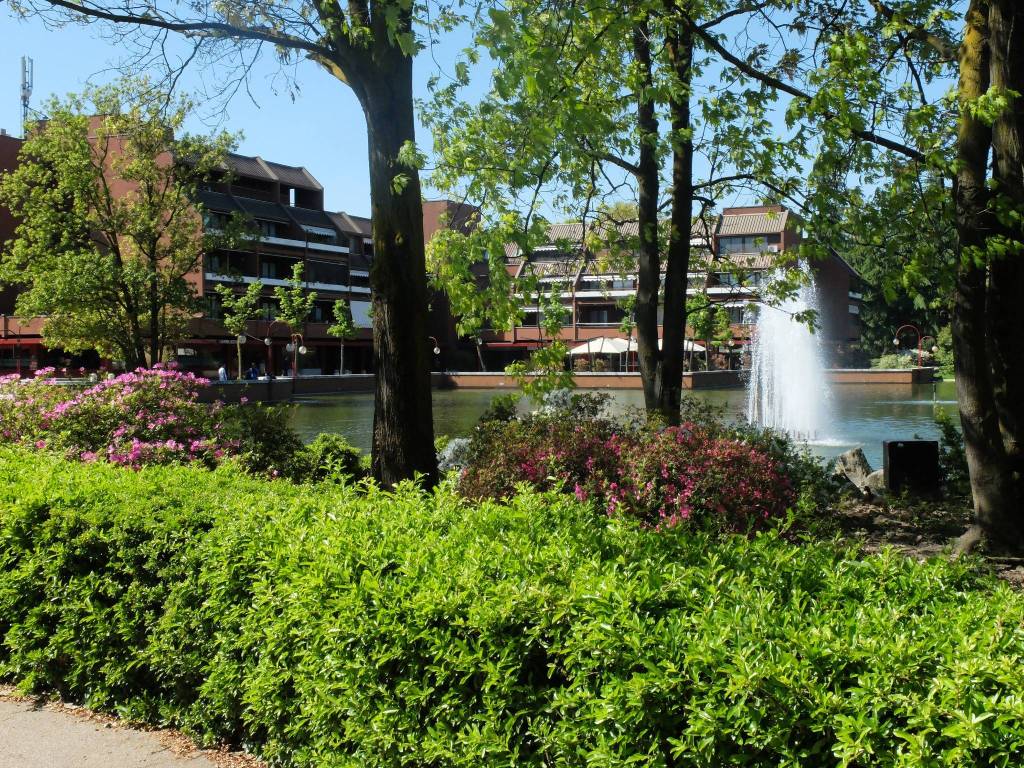 immagine annuncio 9 di 13