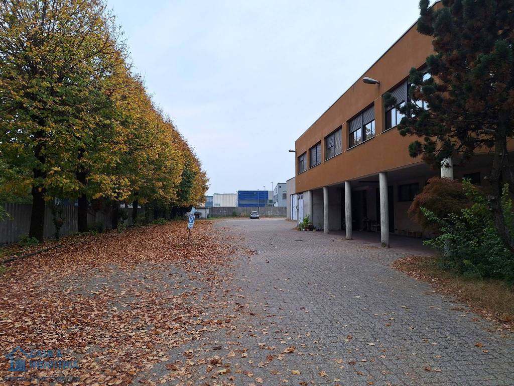 immagine annuncio 1 di 15