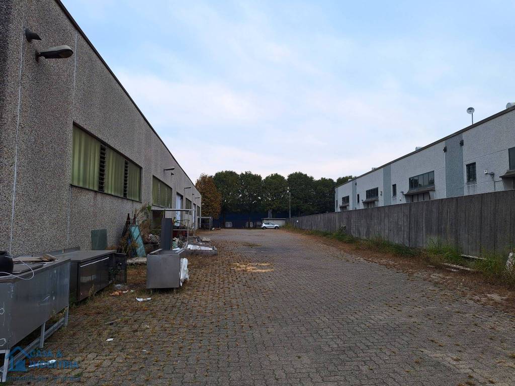 immagine annuncio 8 di 15