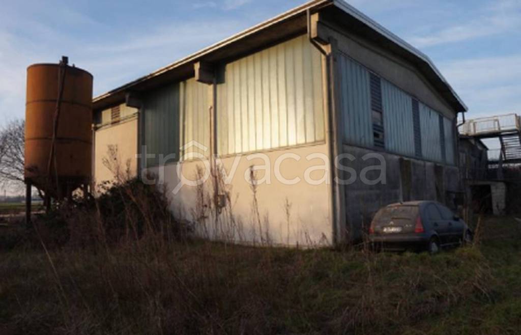 immagine annuncio 3 di 12