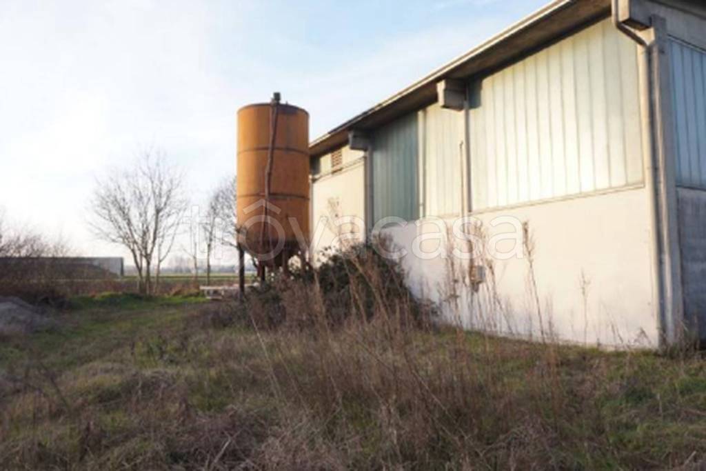 immagine annuncio 4 di 12